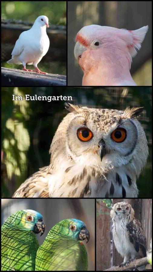 Wohnen Im Eulengarten Oranienburg Exteriér fotografie